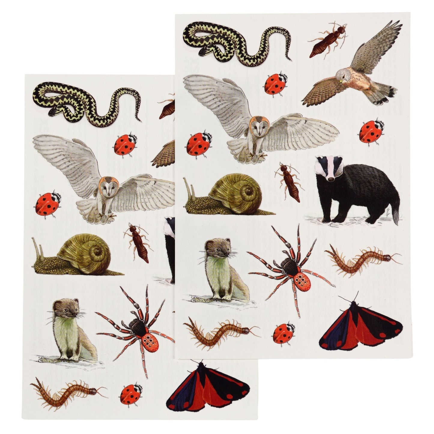 Rex London - Temporary Tattoos - Nature Trail - Playlaan