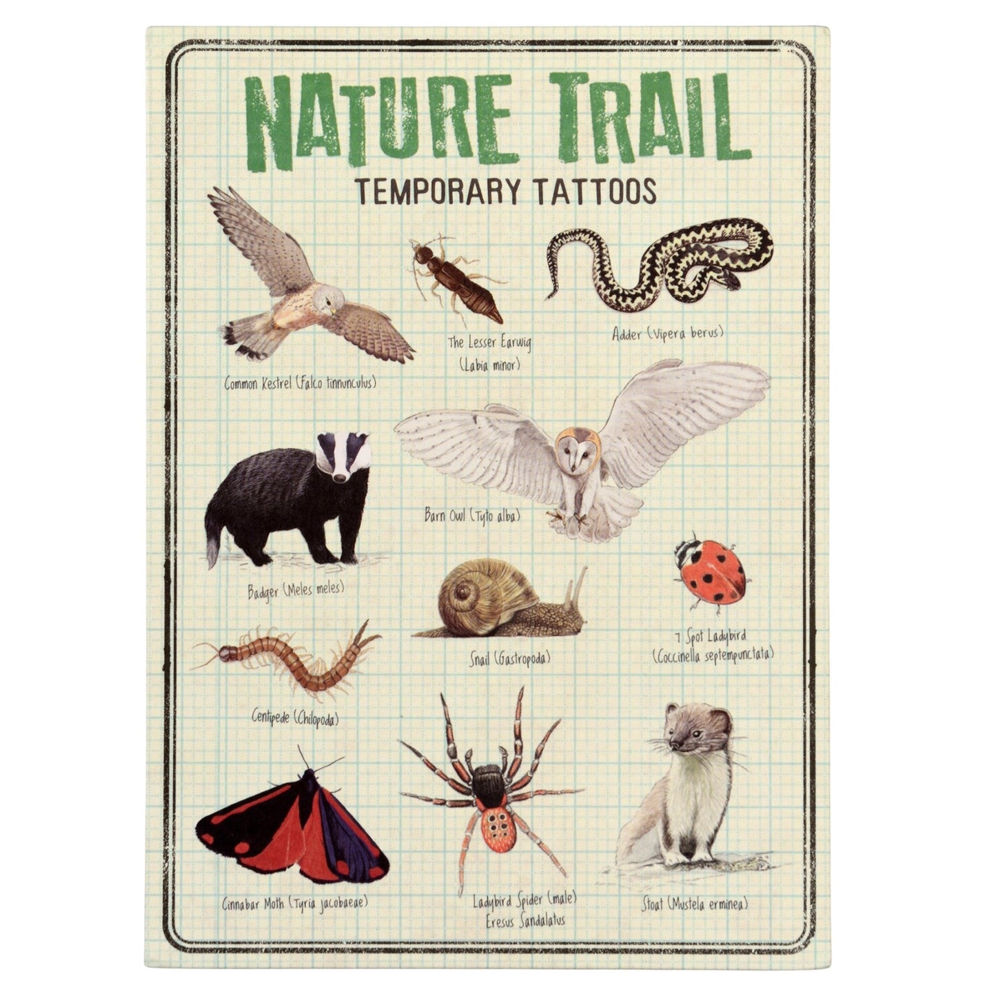 Rex London - Temporary Tattoos - Nature Trail - Playlaan