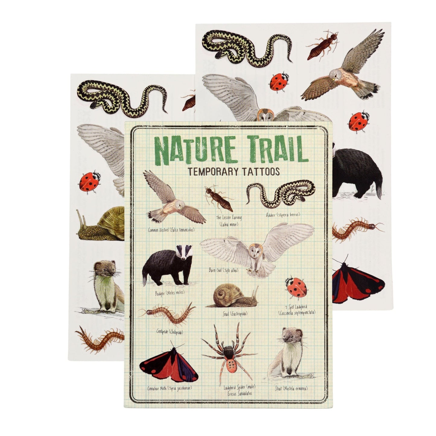 Rex London - Temporary Tattoos - Nature Trail - Playlaan