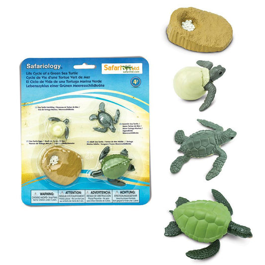 Safari Ltd - Levenscyclus van een Groene Zeeschildpad - Playlaan