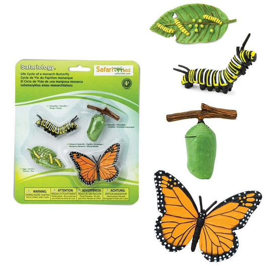 Safari Ltd - Levenscyclus van een Monarchvlinder - Playlaan