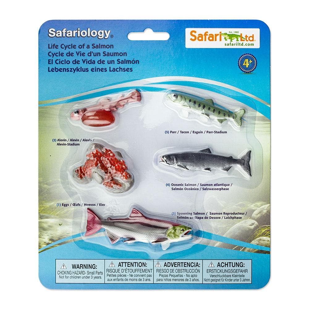 Safari Ltd - Levenscyclus van een Zalm - Playlaan