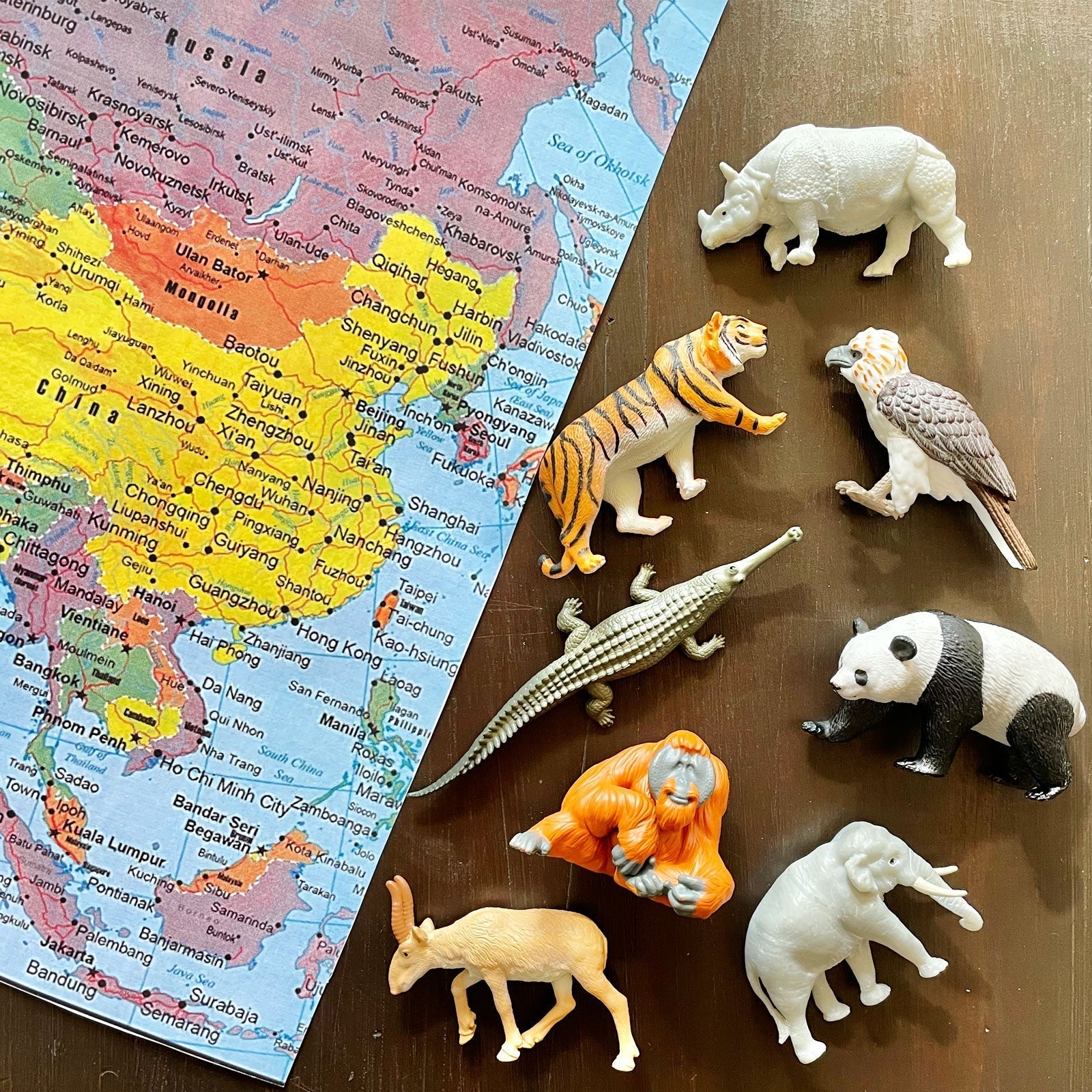 Safari Ltd - Speelfiguren Aziatische Dieren TOOB®- Set van 8 stuks - Playlaan