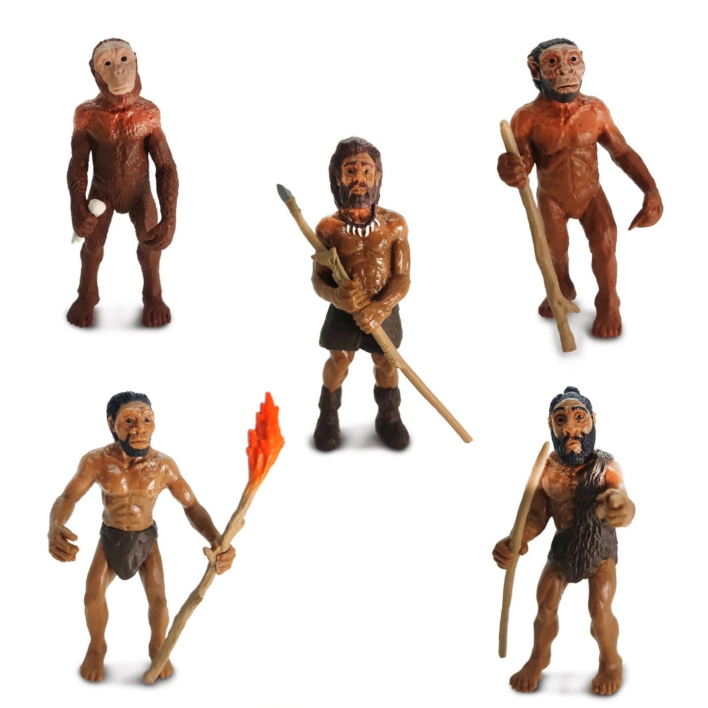 Safari Ltd - Speelfiguren Evolutie van de Mens - Playlaan