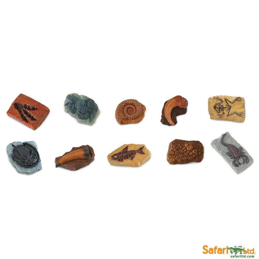 Safari Ltd - Speelfiguren Oude Fossielen TOOB® - Playlaan