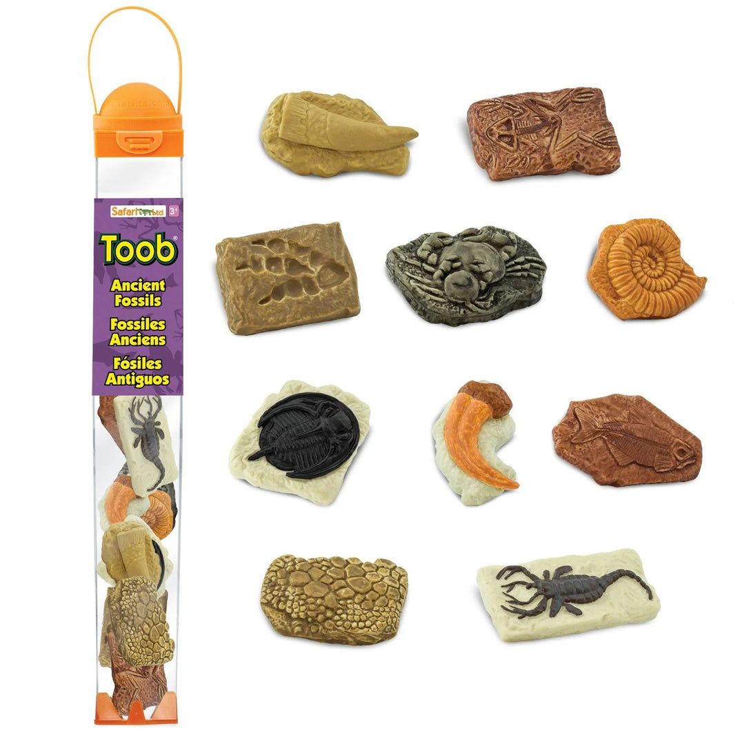 Safari Ltd - Speelfiguren Oude Fossielen TOOB® - Playlaan