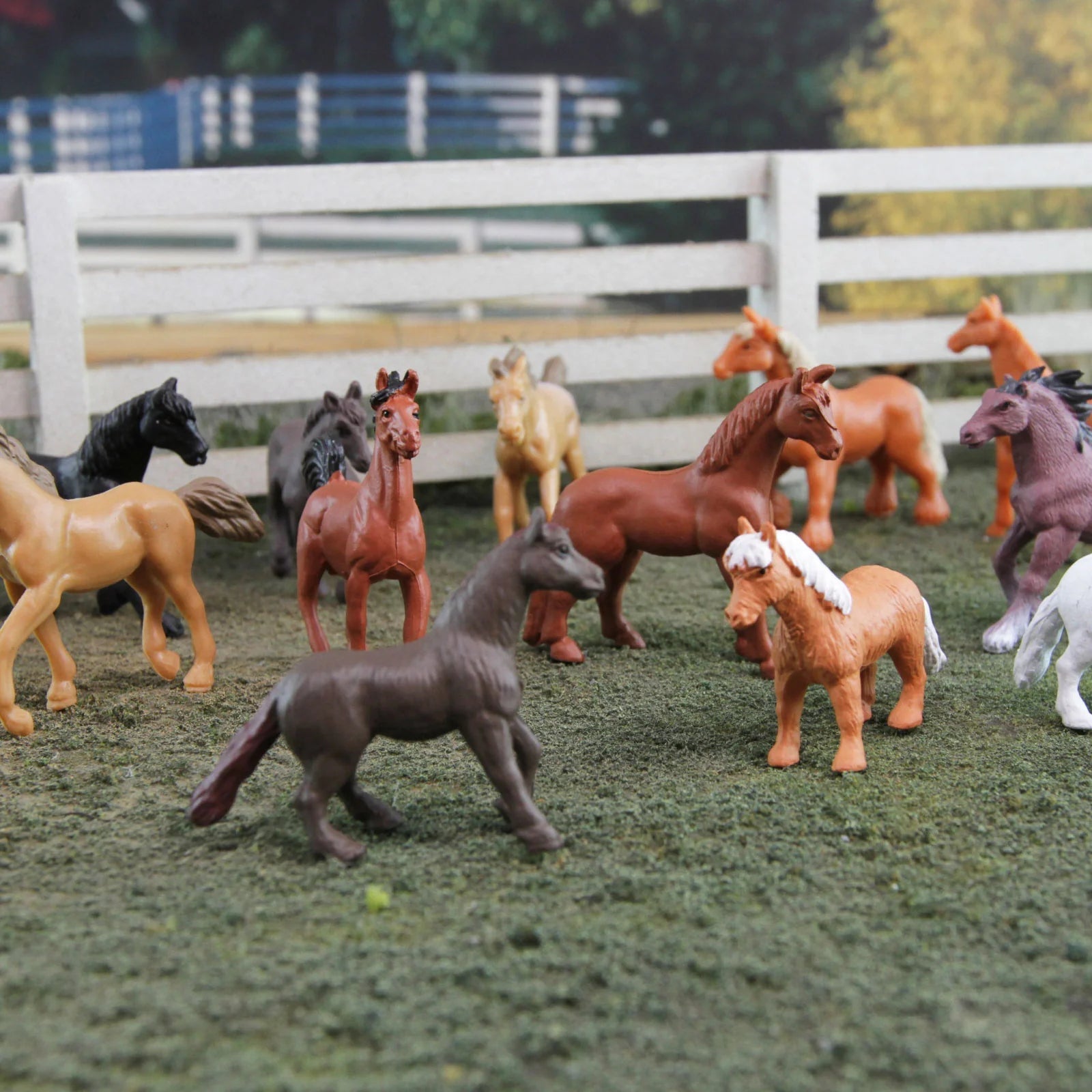 Safari Ltd - Speelfiguren Paarden TOOB® - Set van 12 stuks - Playlaan